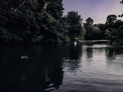 Sound of silence